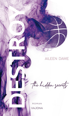 DESTROY the hidden secrets (DESTROY-Reihe 1) von Dawe,  Aileen