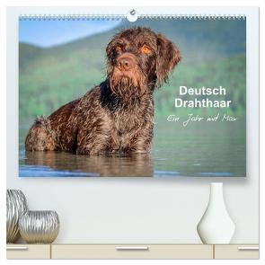 Deutsch Drahthaar – Ein Jahr mit Max (hochwertiger Premium Wandkalender 2024 DIN A2 quer), Kunstdruck in Hochglanz von Wuffclick-pic,  Wuffclick-pic