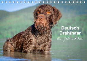 Deutsch Drahthaar – Ein Jahr mit Max (Tischkalender 2021 DIN A5 quer) von wuffclick-pic