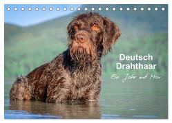 Deutsch Drahthaar – Ein Jahr mit Max (Tischkalender 2024 DIN A5 quer), CALVENDO Monatskalender von Wuffclick-pic,  Wuffclick-pic