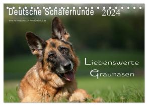 Deutsche Schäferhunde – Liebenswerte Graunasen (Tischkalender 2024 DIN A5 quer), CALVENDO Monatskalender von Schiller,  Petra