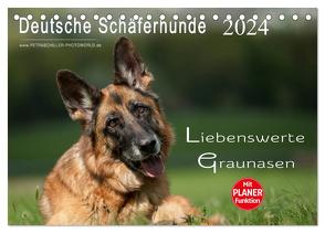 Deutsche Schäferhunde – Liebenswerte Graunasen (Tischkalender 2024 DIN A5 quer), CALVENDO Monatskalender von Schiller,  Petra