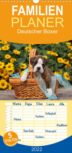 Familienplaner Deutscher Boxer 2022 (Wandkalender 2022 , 21 cm x 45 cm, hoch) von Mielke,  Kerstin