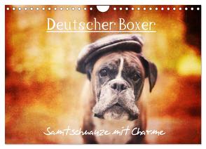 Deutscher Boxer (Wandkalender 2024 DIN A4 quer), CALVENDO Monatskalender von Mielke,  Kerstin