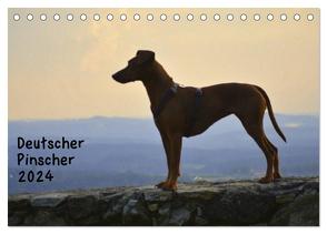 Deutscher Pinscher (Tischkalender 2024 DIN A5 quer), CALVENDO Monatskalender von Redl,  Ula