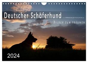 Deutscher Schäferhund / CH-Version (Wandkalender 2024 DIN A4 quer), CALVENDO Monatskalender von Schiller,  Petra