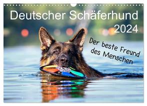 Deutscher Schäferhund – Der beste Freund des Menschen (Wandkalender 2024 DIN A3 quer), CALVENDO Monatskalender von Schiller,  Petra