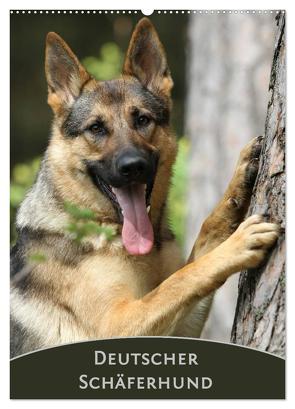 Deutscher Schäferhund (Wandkalender 2024 DIN A2 hoch), CALVENDO Monatskalender von Steininger,  Claudia