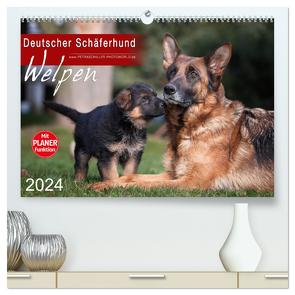 Deutscher Schäferhund – Welpen (hochwertiger Premium Wandkalender 2024 DIN A2 quer), Kunstdruck in Hochglanz von Schiller,  Petra