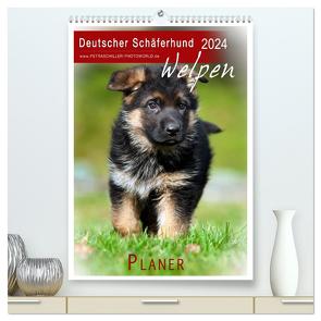 Deutscher Schäferhund – Welpen, Planer (hochwertiger Premium Wandkalender 2024 DIN A2 hoch), Kunstdruck in Hochglanz von Schiller,  Petra