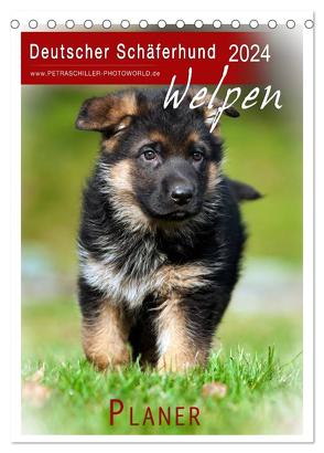 Deutscher Schäferhund – Welpen, Planer (Tischkalender 2024 DIN A5 hoch), CALVENDO Monatskalender von Schiller,  Petra