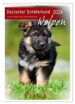 Deutscher Schäferhund – Welpen, Planer (Wandkalender 2024 DIN A3 hoch), CALVENDO Monatskalender von Schiller,  Petra