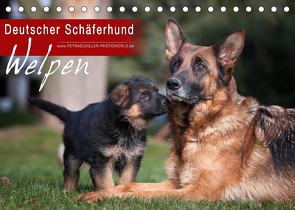 Deutscher Schäferhund – Welpen (Tischkalender 2023 DIN A5 quer) von Schiller,  Petra