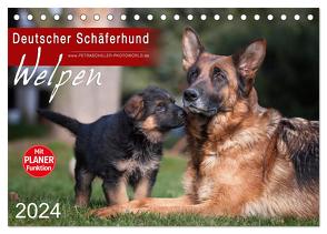 Deutscher Schäferhund – Welpen (Tischkalender 2024 DIN A5 quer), CALVENDO Monatskalender von Schiller,  Petra