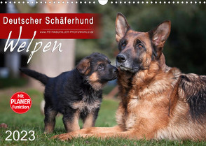 Deutscher Schäferhund – Welpen (Wandkalender 2023 DIN A3 quer) von Schiller,  Petra