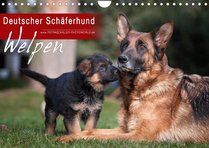 Deutscher Schäferhund – Welpen (Wandkalender 2023 DIN A4 quer) von Schiller,  Petra