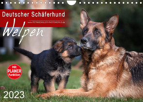 Deutscher Schäferhund – Welpen (Wandkalender 2023 DIN A4 quer) von Schiller,  Petra