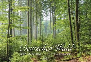 Deutscher Wald 2021 – Bild-Kalender 49,5×34 cm – German Forest – Landschaftskalender – Natur – Wand-Kalender – Alpha Edition