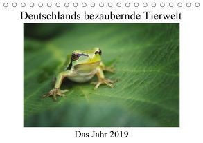 Deutschlands bezaubernde Tierwelt (Tischkalender 2019 DIN A5 quer) von Reibert,  Björn