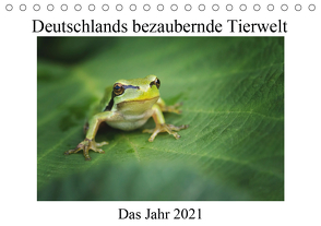 Deutschlands bezaubernde Tierwelt (Tischkalender 2021 DIN A5 quer) von Reibert,  Björn