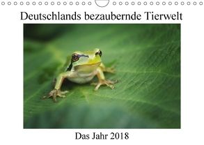 Deutschlands bezaubernde Tierwelt (Wandkalender 2018 DIN A4 quer) von Reibert,  Björn