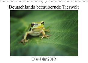 Deutschlands bezaubernde Tierwelt (Wandkalender 2019 DIN A4 quer) von Reibert,  Björn