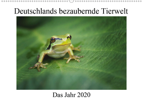 Deutschlands bezaubernde Tierwelt (Wandkalender 2020 DIN A2 quer) von Reibert,  Björn