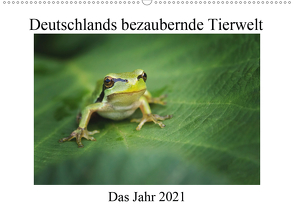 Deutschlands bezaubernde Tierwelt (Wandkalender 2021 DIN A2 quer) von Reibert,  Björn