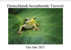 Deutschlands bezaubernde Tierwelt (Wandkalender 2021 DIN A3 quer) von Reibert,  Björn