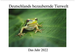 Deutschlands bezaubernde Tierwelt (Wandkalender 2022 DIN A2 quer) von Reibert,  Björn