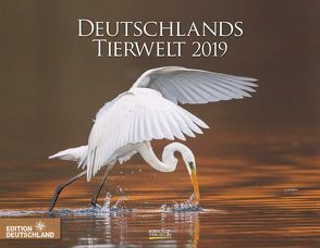 Deutschlands Tierwelt 216319 2019 von Korsch Verlag