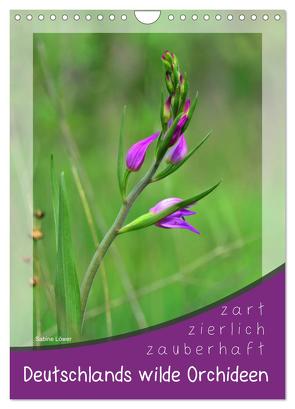 Deutschlands wilde Orchideen (Wandkalender 2024 DIN A4 hoch), CALVENDO Monatskalender von Löwer,  Sabine