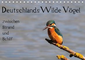 Deutschlands wilde Vögel zwischen Strand und Schilf (Tischkalender 2020 DIN A5 quer) von Lebeus,  Marvin