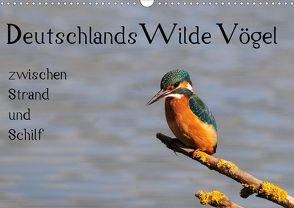 Deutschlands wilde Vögel zwischen Strand und Schilf (Wandkalender 2021 DIN A3 quer) von Lebeus,  Marvin