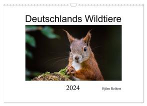 Deutschlands Wildtiere (Wandkalender 2024 DIN A3 quer), CALVENDO Monatskalender von Reibert,  Björn