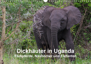 Dickhäuter in Uganda – Flußpferde, Nashörner und Elefanten (Wandkalender 2021 DIN A3 quer) von Helmut Gulbins,  Dr.