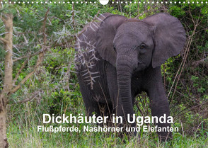 Dickhäuter in Uganda – Flußpferde, Nashörner und Elefanten (Wandkalender 2022 DIN A3 quer) von Helmut Gulbins,  Dr.