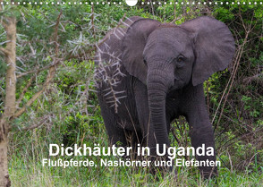 Dickhäuter in Uganda – Flußpferde, Nashörner und Elefanten (Wandkalender 2023 DIN A3 quer) von Helmut Gulbins,  Dr.