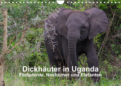 Dickhäuter in Uganda – Flußpferde, Nashörner und Elefanten (Wandkalender 2023 DIN A4 quer) von Helmut Gulbins,  Dr.