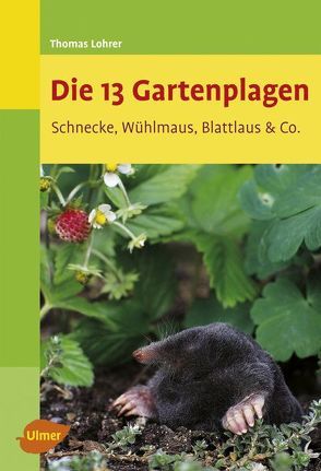 Die 13 Gartenplagen von Lohrer,  Thomas