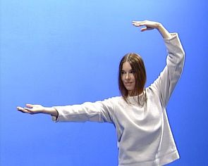 Die 18 Übungen des Taiji-Qigong von Lichtenau,  Birgit, Sandrowski,  Werner