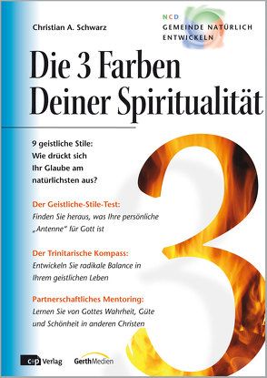 Die 3 Farben Deiner Spiritualität von Schwarz,  Christian A