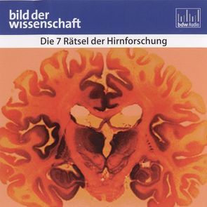 Die 7 Rätsel der Hirnforschung von Kügow,  Detlef, Veit,  Peter