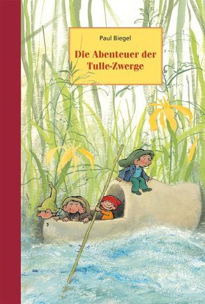 Die Abenteuer der Tulle-Zwerge von Biegel,  Paul, van Hout,  Mies