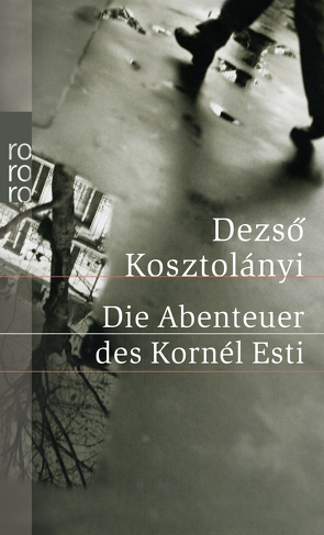 Die Abenteuer des Kornél Esti von Kosztolányi,  Dezsö, Viragh,  Christina