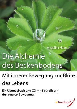 Die Alchemie des Beckenbodens von Haag,  Angelika, Xander,  Harald