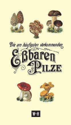 Die am häufigsten vorkommenden eßbaren Pilze von Ruthammer,  Gerhard