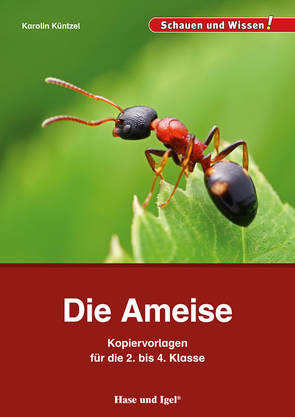 Die Ameise – Kopiervorlagen für die 2. bis 4. Klasse von Küntzel ,  Karolin