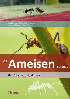 Die Ameisen Europas von Blatrix,  Rumsaïs, Galkowski,  Christophe, Lebas,  Claude, Niehaus,  Monika, Wegnez,  Philippe