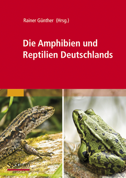 Die Amphibien und Reptilien Deutschlands von Günther,  Rainer